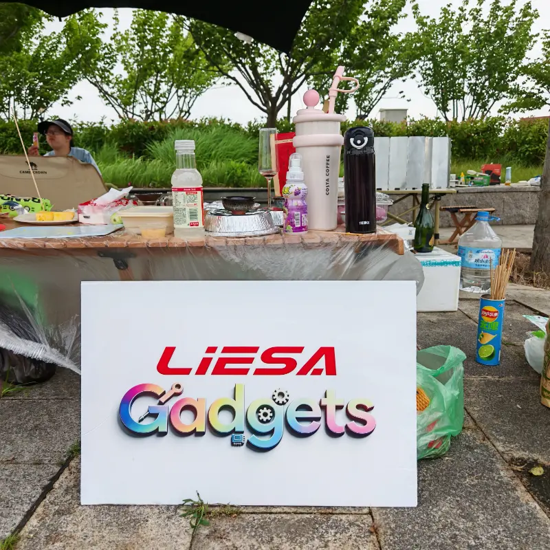 LIESA ग्याजेट्सले ग्लोबल क्लीनिङ एप्लायन्स व्यवसायको लागि टोलीलाई एकताबद्ध गर्न आउटडोर क्याम्पिङ टोली भवन राख्छ